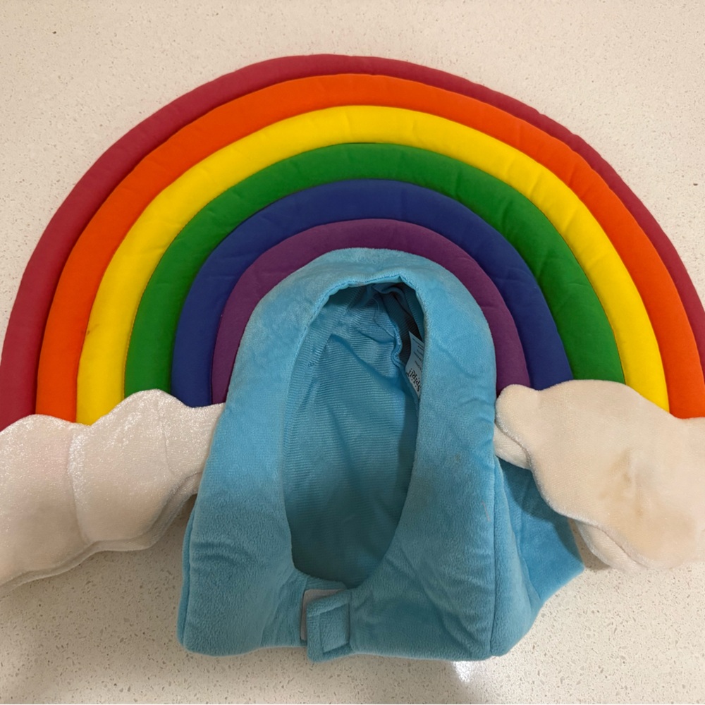 Rainbow custom. Wears like a head piece. Super cute. One size. Adult.